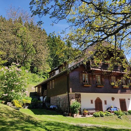 Ferienwohnungen Vogt'S Libding Bad Rippoldsau-Schapbach Luaran gambar