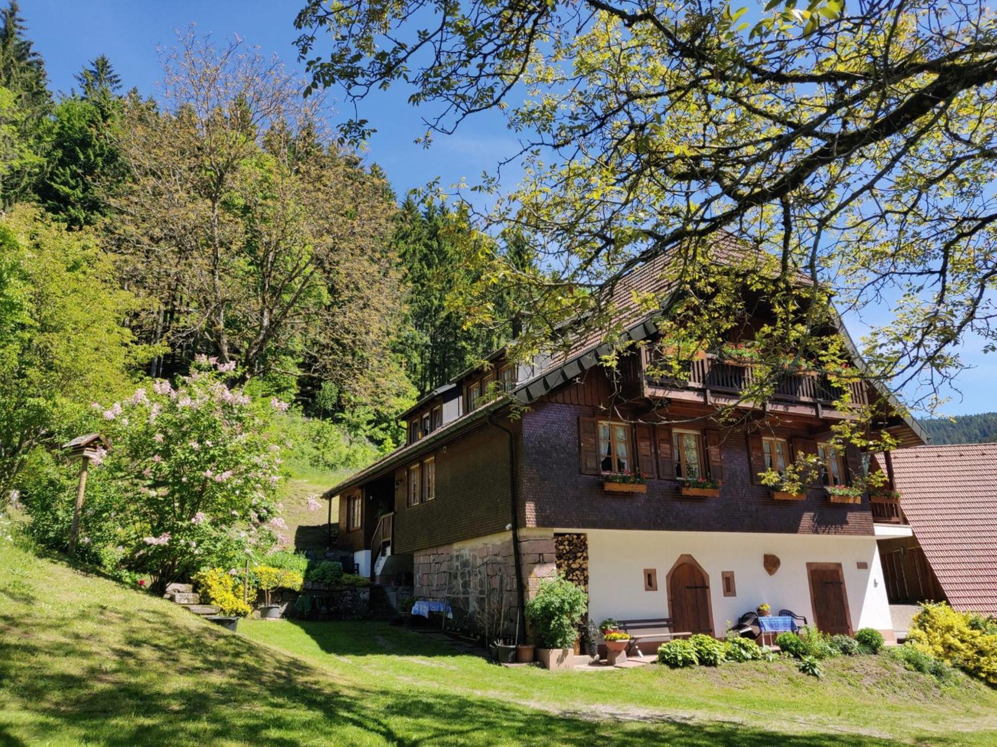 Ferienwohnungen Vogt'S Libding Bad Rippoldsau-Schapbach Luaran gambar